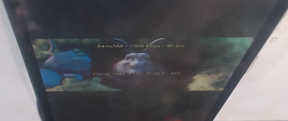 360p physical